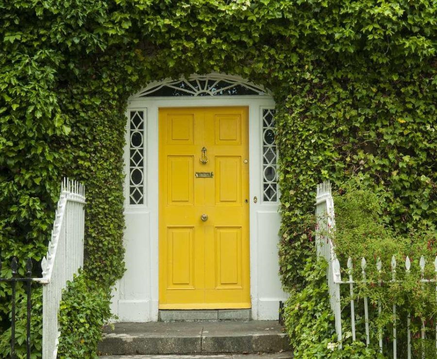 cửa nhà sơn màu gì đẹp cửa gỗ vàng